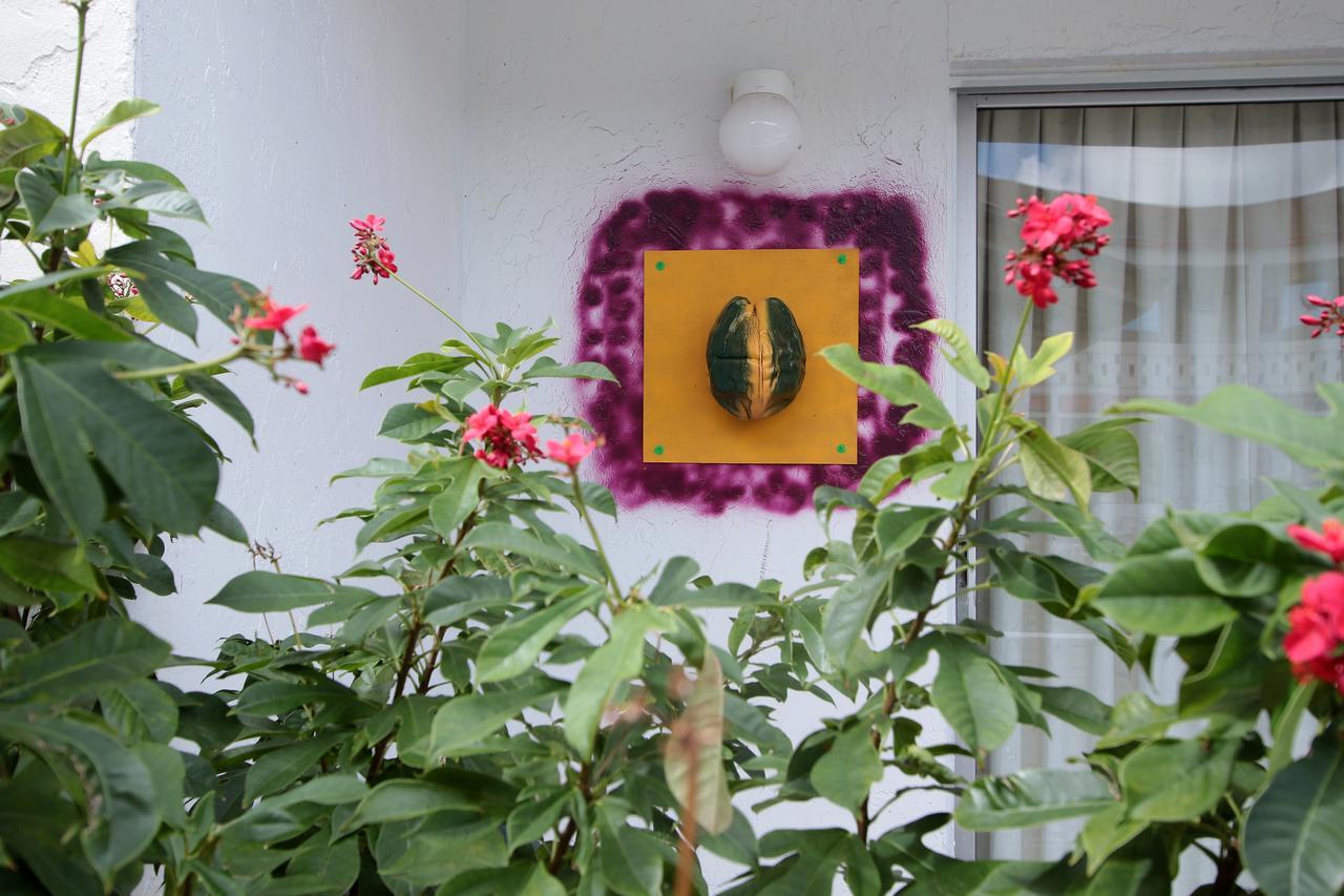 Nettie'S Different Of Nassau Casuarina'S Hotell Exteriör bild